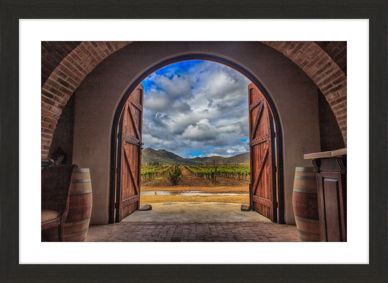 Cellar Doors