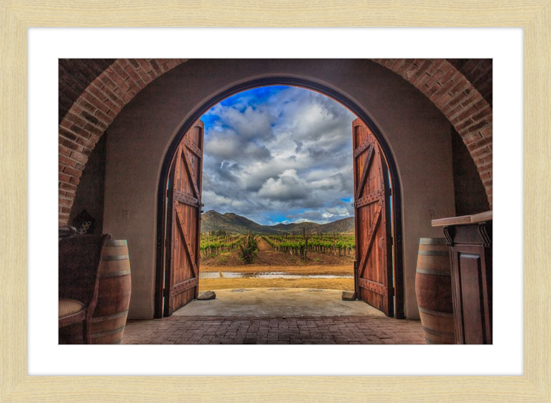 Cellar Doors