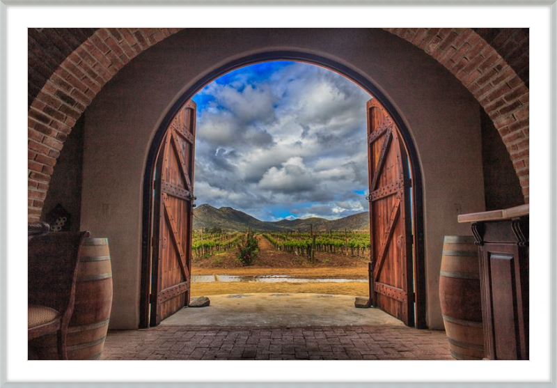 Cellar Doors