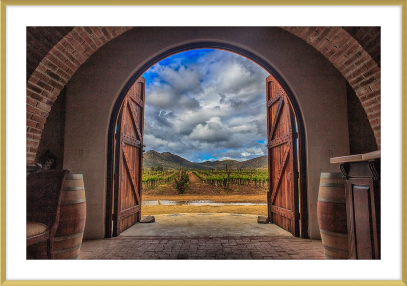 Cellar Doors