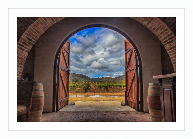 Cellar Doors