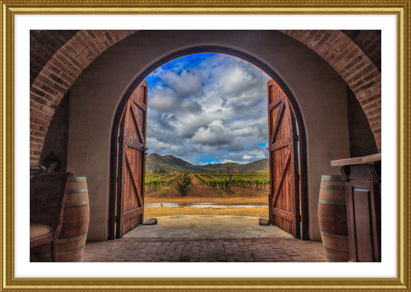 Cellar Doors