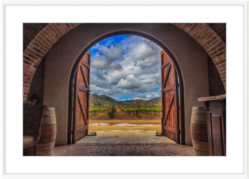 Cellar Doors