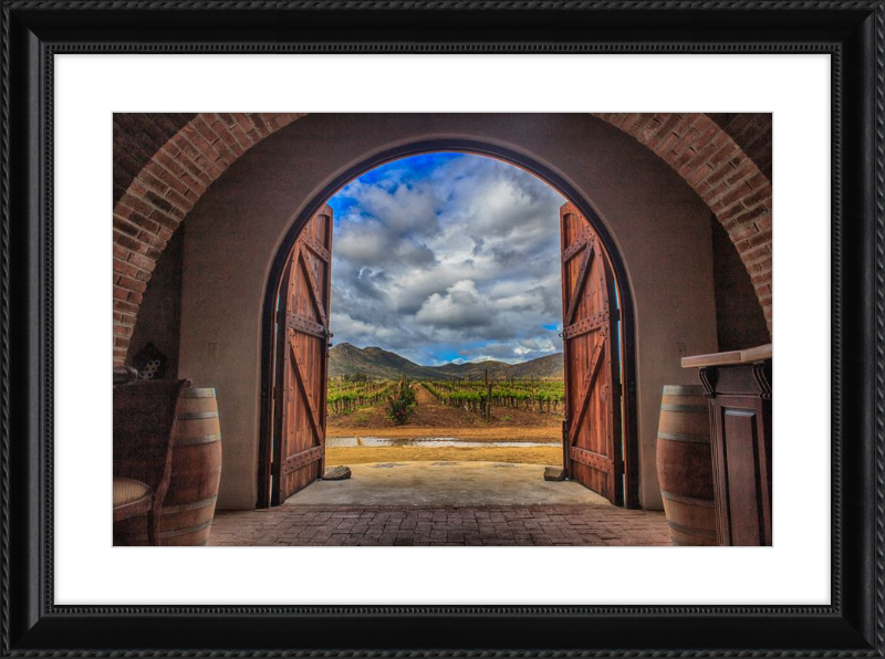 Cellar Doors