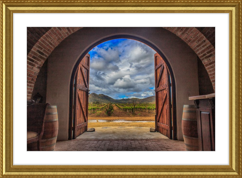 Cellar Doors