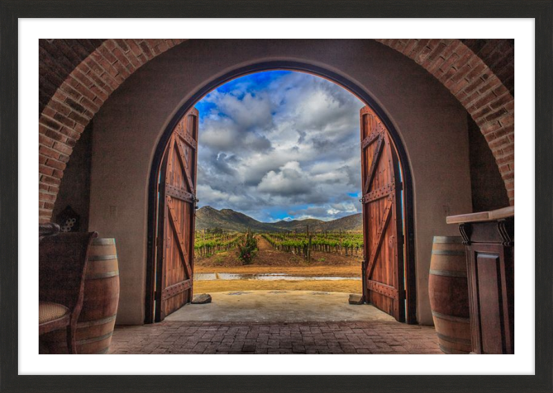 Cellar Doors