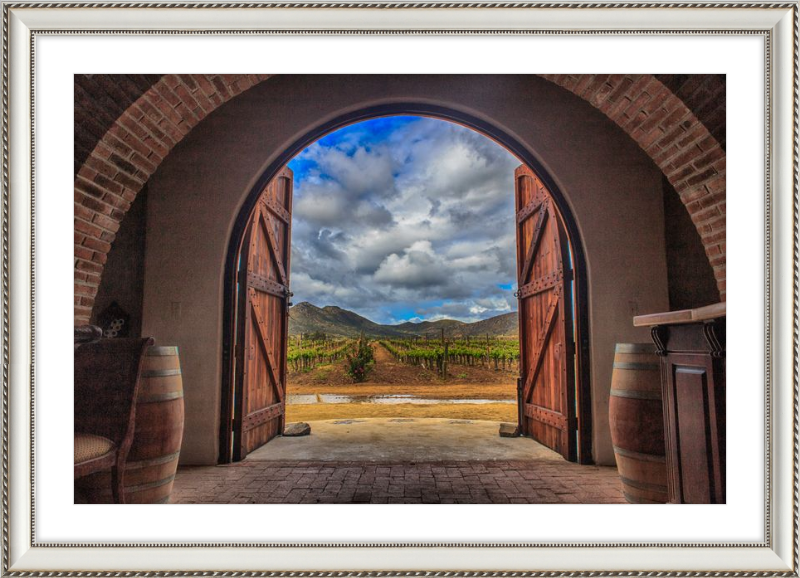 Cellar Doors