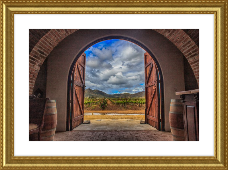 Cellar Doors