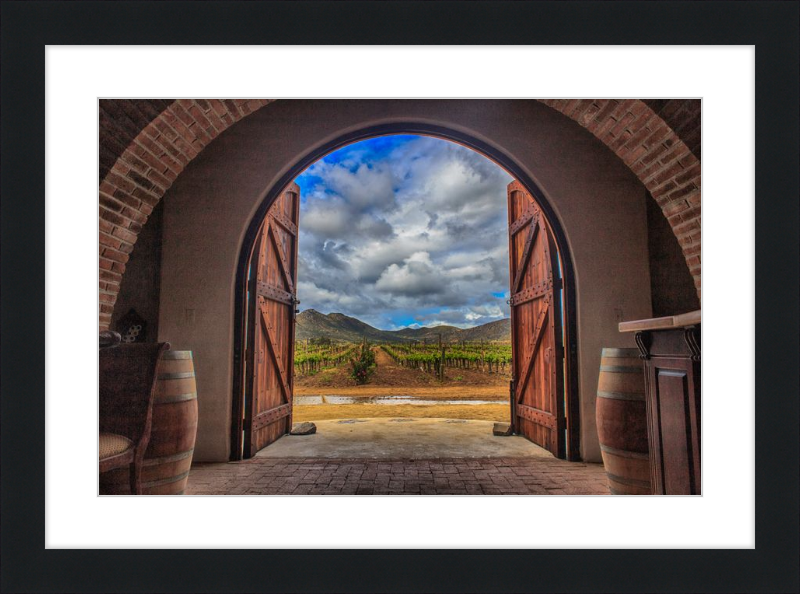 Cellar Doors