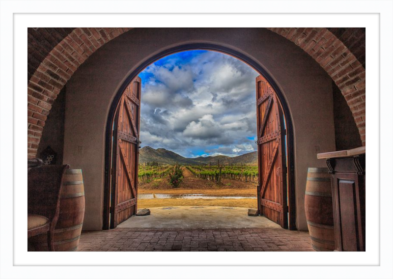 Cellar Doors
