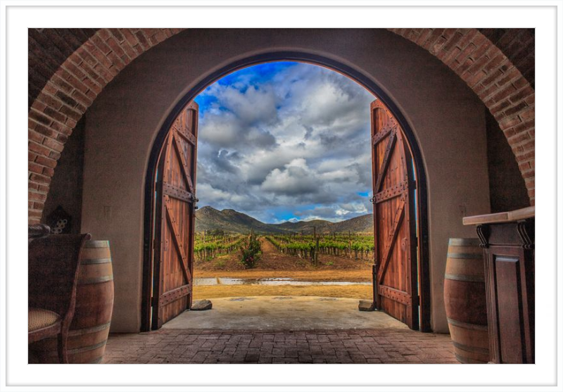 Cellar Doors