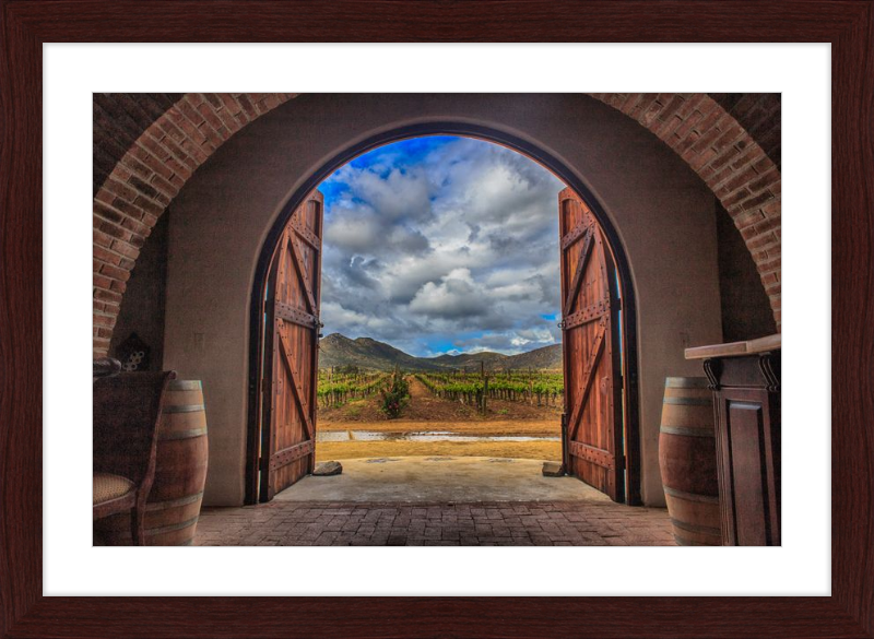 Cellar Doors