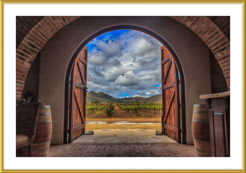Cellar Doors