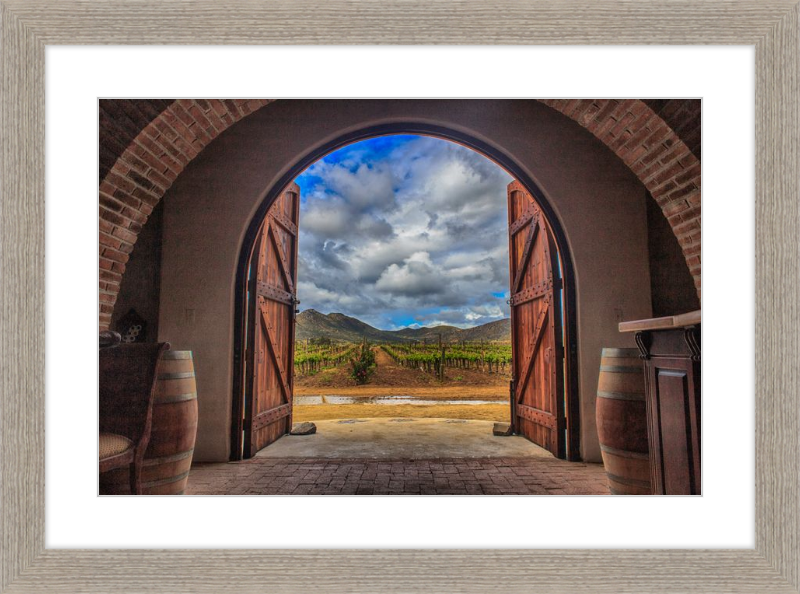 Cellar Doors