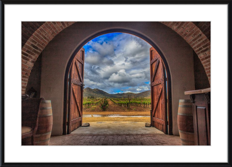 Cellar Doors