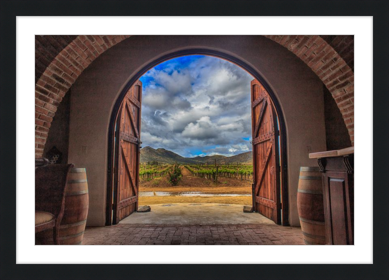 Cellar Doors