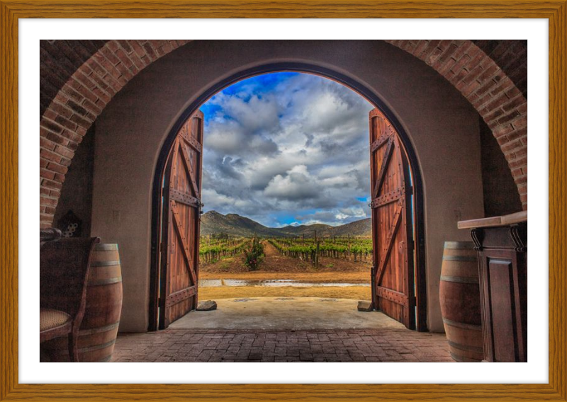 Cellar Doors