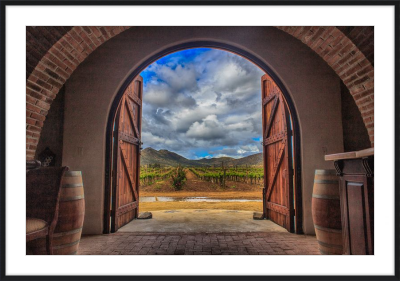 Cellar Doors