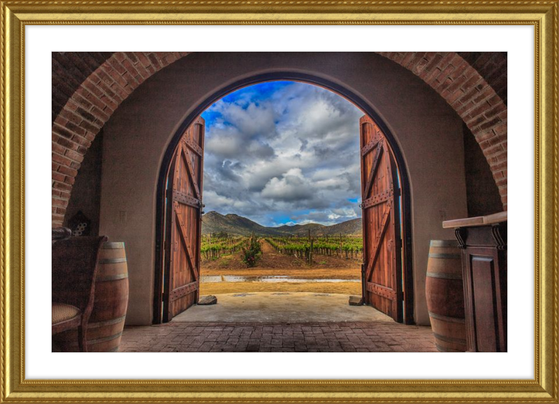 Cellar Doors