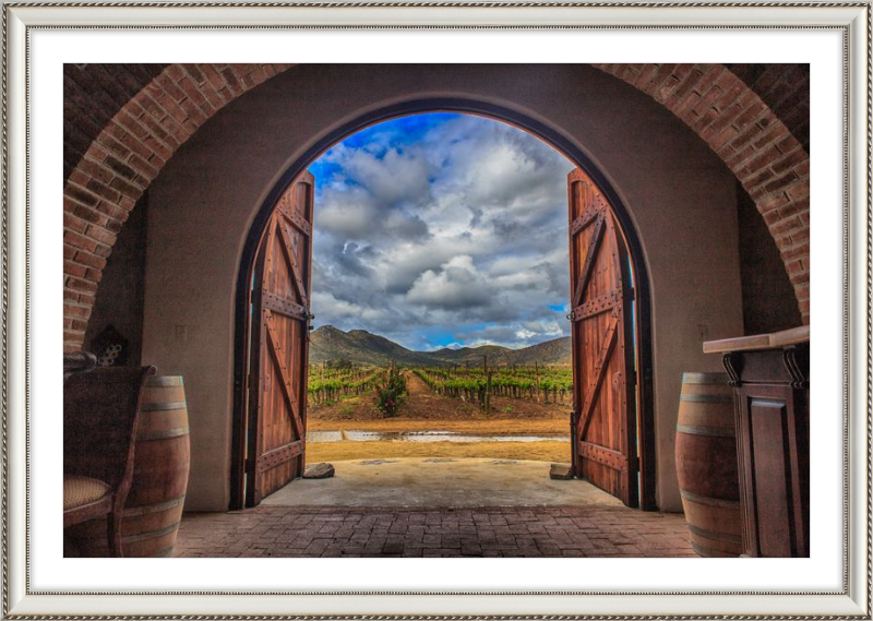 Cellar Doors