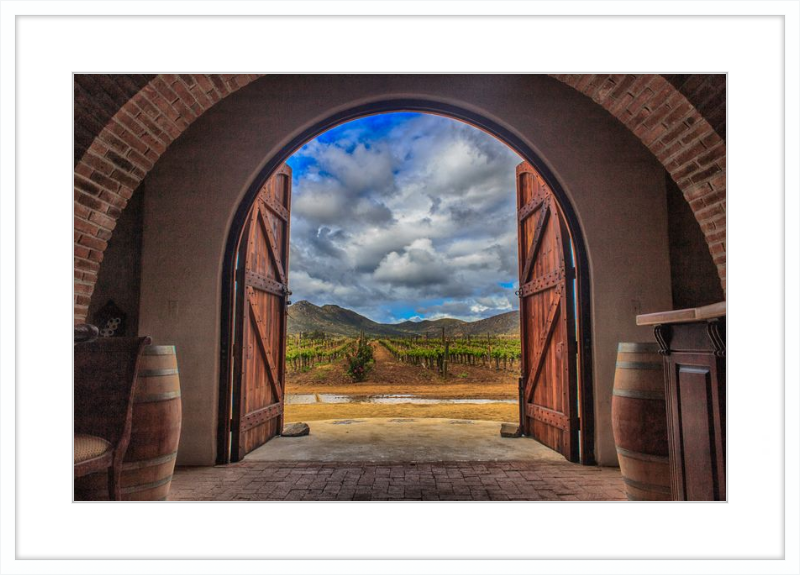 Cellar Doors