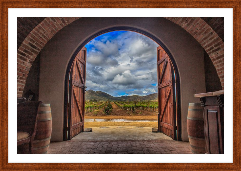 Cellar Doors