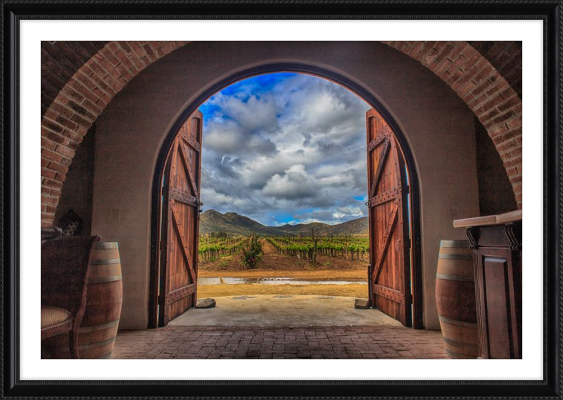 Cellar Doors