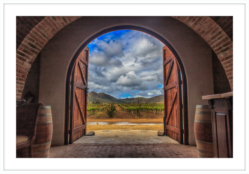 Cellar Doors