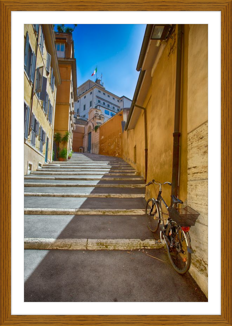 Bicycle on the Stairs