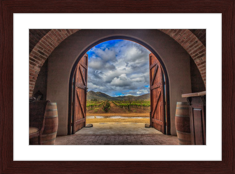 Cellar Doors
