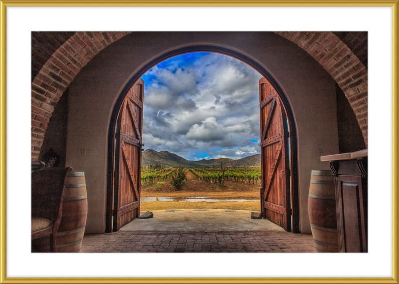 Cellar Doors