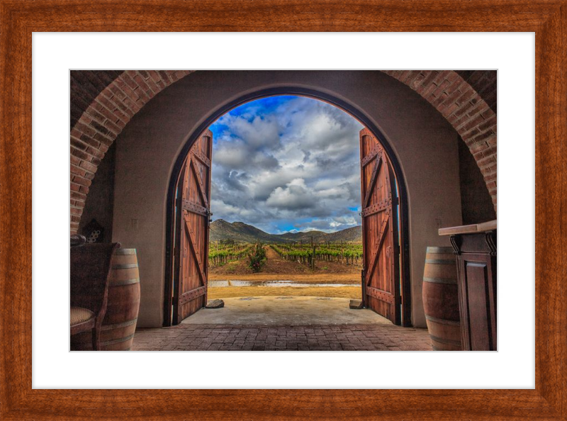 Cellar Doors
