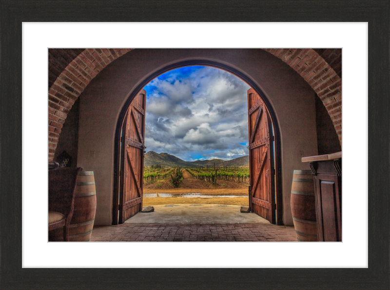 Cellar Doors