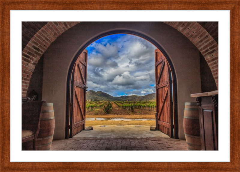 Cellar Doors