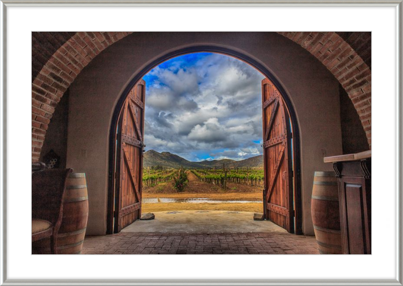 Cellar Doors