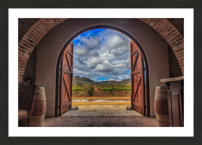 Cellar Doors