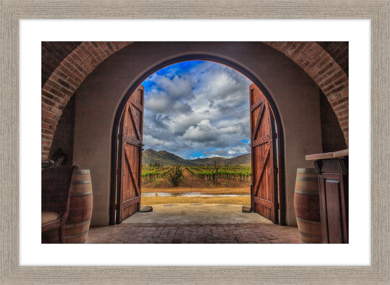Cellar Doors