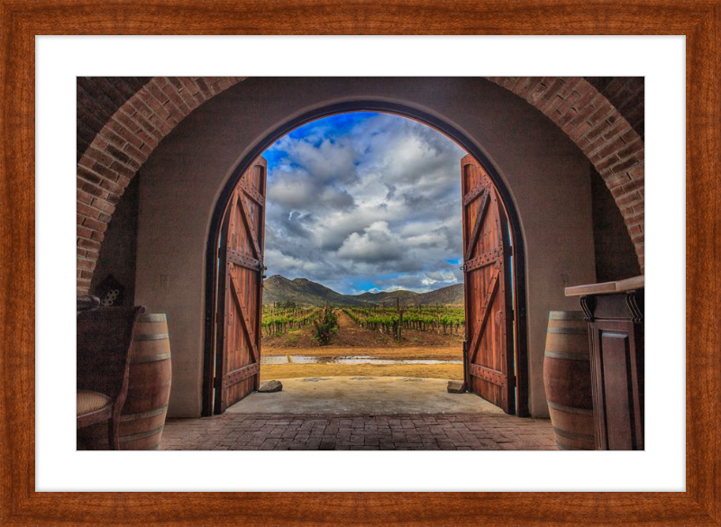 Cellar Doors