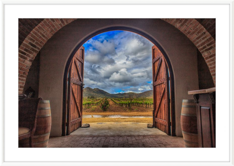 Cellar Doors