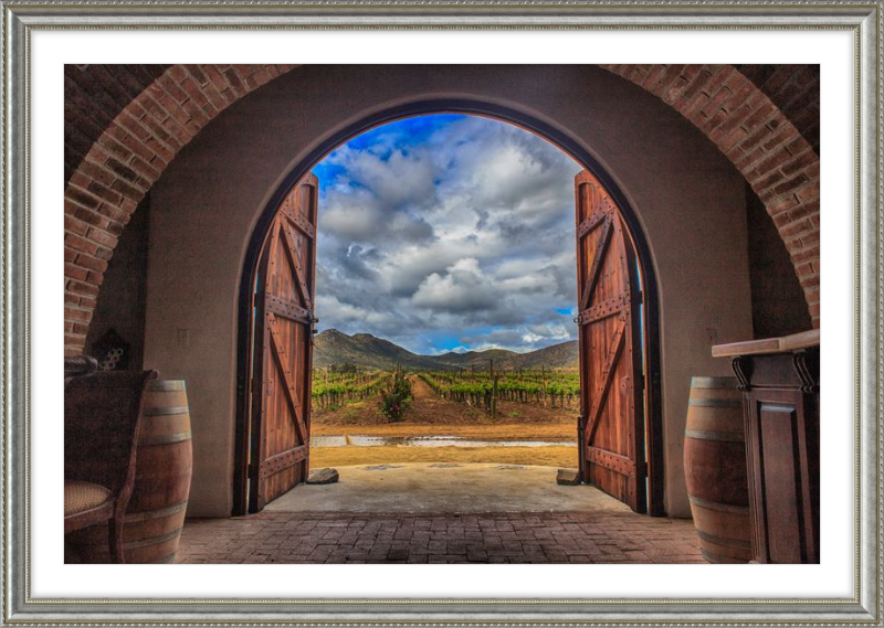 Cellar Doors
