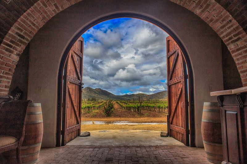 Cellar Doors
