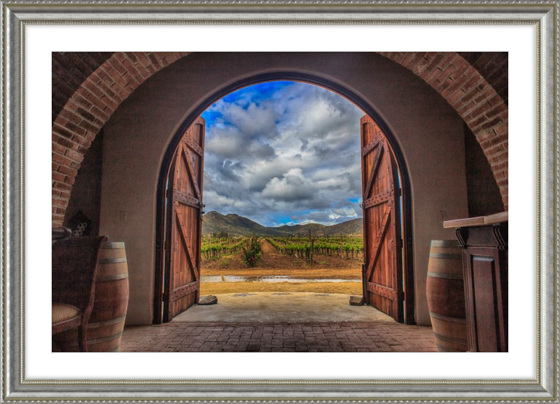 Cellar Doors