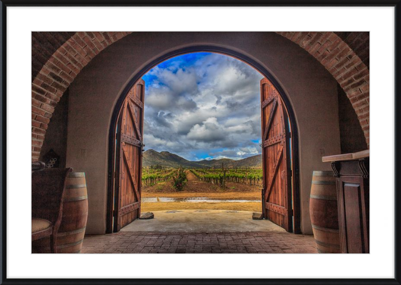 Cellar Doors