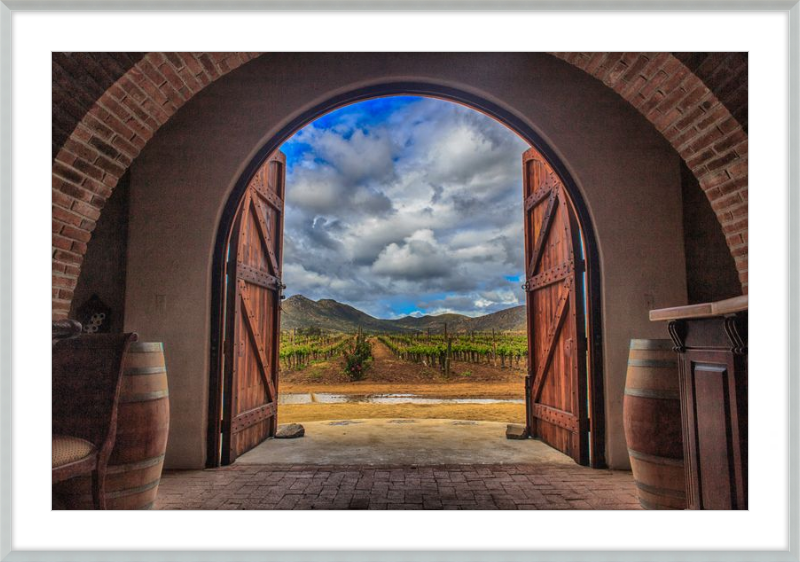Cellar Doors