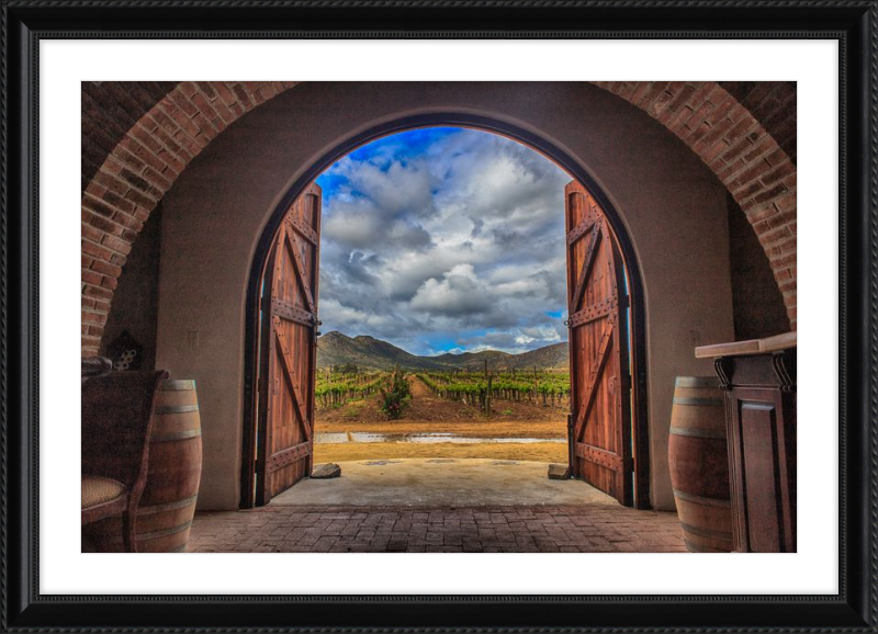Cellar Doors