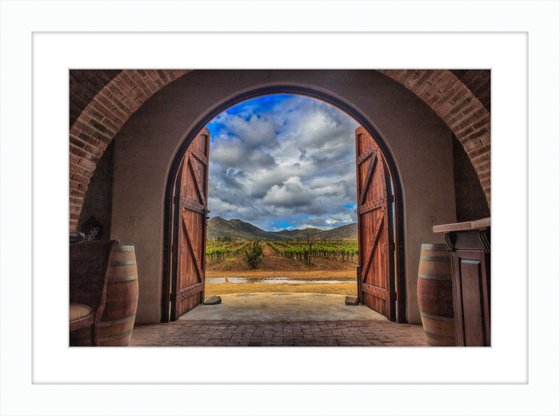 Cellar Doors