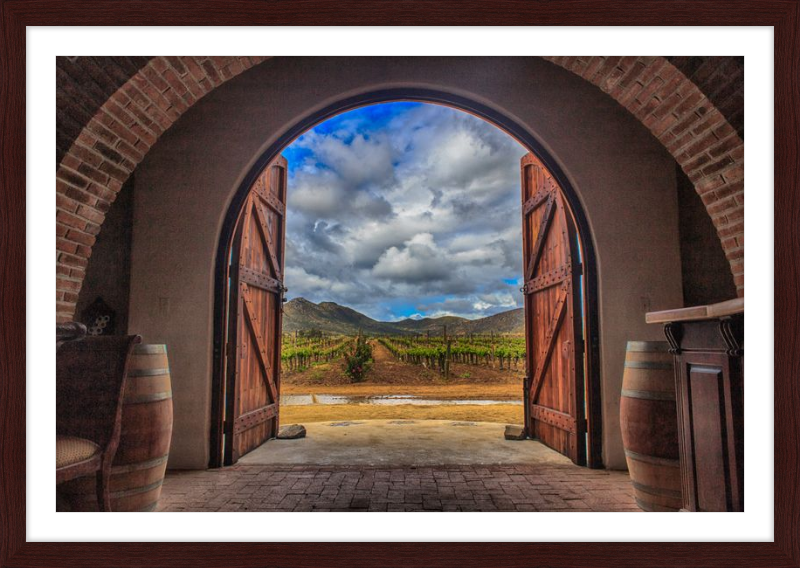 Cellar Doors