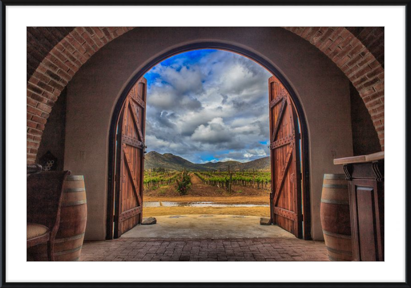 Cellar Doors