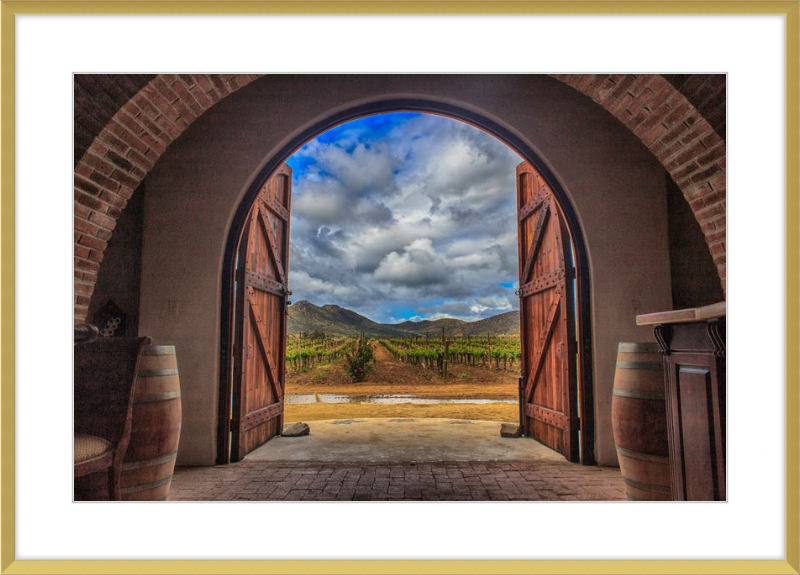 Cellar Doors
