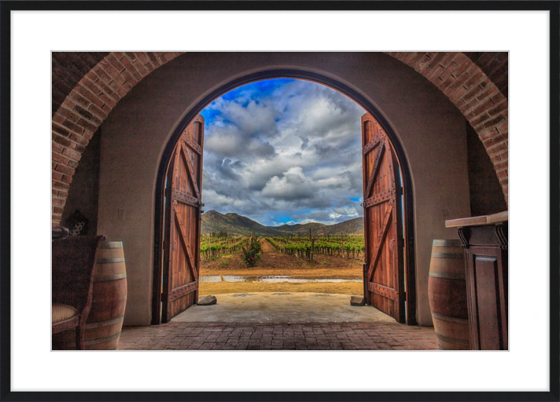Cellar Doors